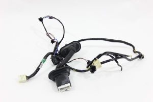 Chicote Porta Tras Le Triton Hpe 08/15 Usado (578)