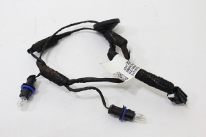 Chicote Lanterna Placa Tracker 17/19 Usado (529)