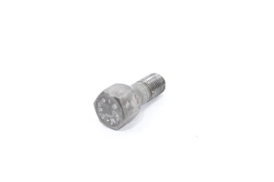 Parafuso Roda Fiat Ducato 2003-2015 (698)