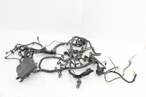 Chicote Motor Caixa Fusível 2.0 16v Flex Tucson 05/15 Usado (052)