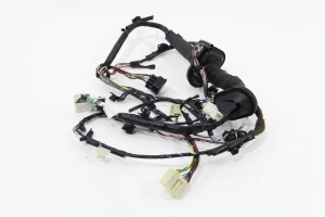 Chicote Porta Diant Le Triton Hpe 08/15 Usado (560)