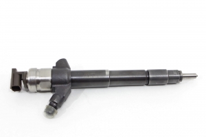 Bico Injetor Triton Hpe 08/15 Usado (872)