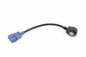 Sensor Detonação Tiggo 09/12 Usado (396)