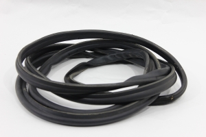 Borracha Fixa Porta Diant Le Vw 8-160 10/16 Usado (489)