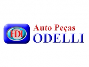 Paralama Interno (Parabarro) Hilux Sw4 09/11 Le