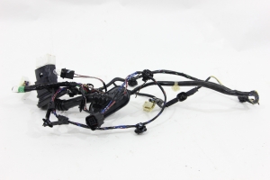 Chicote Porta Tras Ld Triton Hpe 08/15 Usado (541)