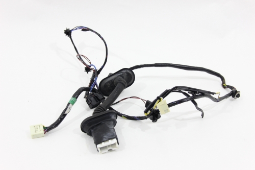 Chicote Porta Tras Le Triton Hpe 08/15 Usado (578)