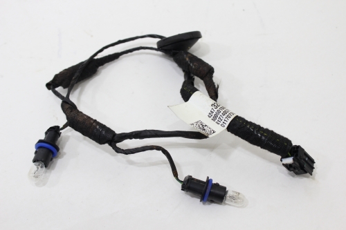 Chicote Lanterna Placa Tracker 17/19 Usado (529)