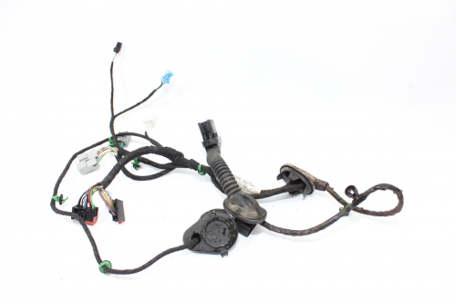 Chicote Porta Diant Le Freelander 2 07/15 Usado (292)
