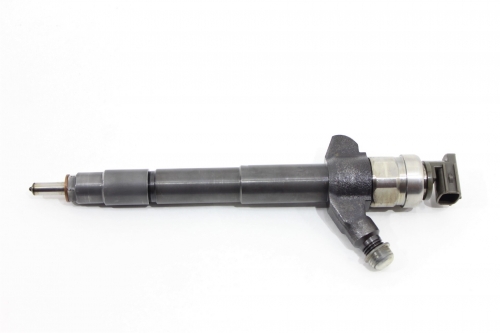 Bico Injetor Triton Hpe 08/15 Usado (870)