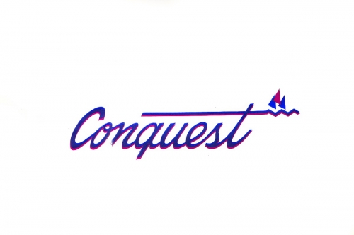 Emblema 'Conquest' D20 93