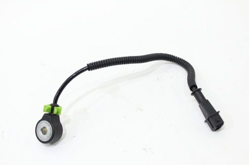 Sensor Detonação 1.8l Flex Jeep Renegade 15/22 Usado (420)