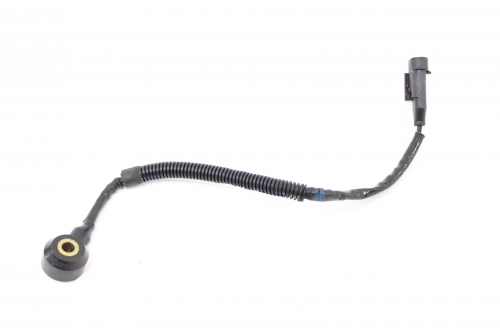 Sensor Detonação Sorento 05/09 Usado (339)