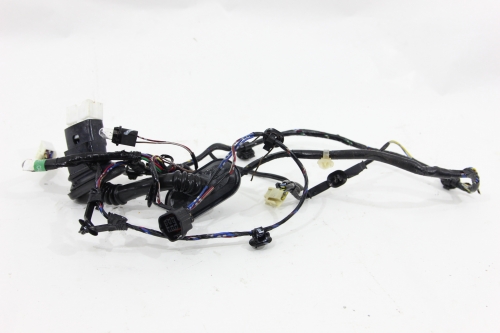 Chicote Porta Tras Ld Triton Hpe 08/15 Usado (541)