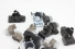 Sensor Estacionamento Kit Tracker 20/23 Usado (288)