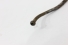 Cano 4 Bico Injetor F-1000 72/92 Usado (575)