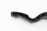Pedal Acelerador Eletrônico Peugeot 2008 Griffe 15/20 Usado (205)