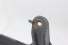 Capa Inferior Painel Hilux  3.0 05/15 Usado (683)