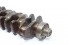 Virabrequim (0,25) 3.0 Diesel Hilux 05/15 Usado (820)