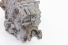 Caixa Câmbio Man (Eaton Fso4405a) Vw 8-140 94/99 Usado (774)