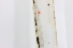Quadro Vidro Parabrisa Bandeirantes 74/91 Usado (184)