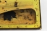 Porta Dianteira Ld Fiat 500 Cinquecento 57/75 Usado (201)