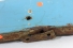 Moldura Lata Paralama Diant Le Bandeirantes 60/01 Usado (910)