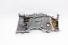 Tampa Frontal Motor 2.4 16v Gas Rav4 07/11 Usado (242)