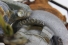 Turbina Hilux Sr 02/04 Usado (391)