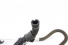 Mangueira Direção Fiat Accelo 715 2003-2015 Usado (236)
