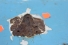 Moldura Lata Paralama Diant Le Bandeirantes 60/01 Usado (910)