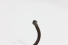 Cano 3 Bico Injetor F-1000 72/92 Usado (574)