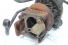 Turbina Mwm X12 4cc 415cv Vw 13-180 06/12 Usado (711)