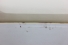 Forro Teto Cabine Peugeot 2008 Griffe 15/22 Usado (124)