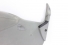 Forro Porta Dianteira Ld Master 00/09 Usado (419)